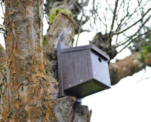 Bird nesting box